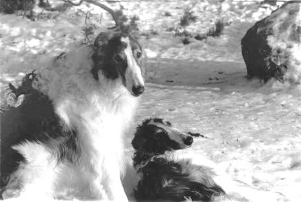 Photo:Charlotta Sevon